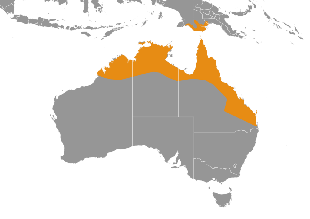 By IUCN Red List of Threatened Species, species assessors and the authors of the spatial data., CC BY-SA 3.0, https://commons.wikimedia.org/w/index.php?curid=100162770