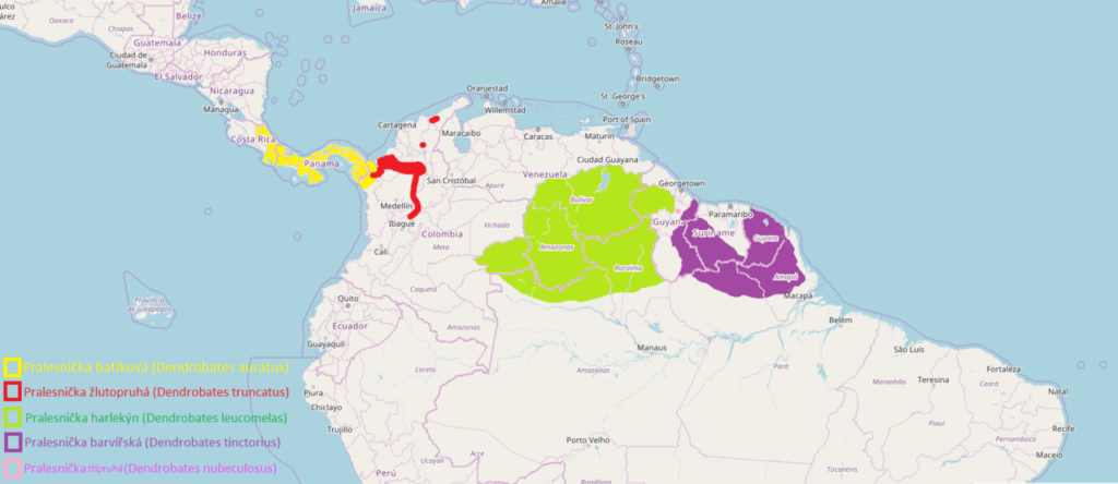 By Awewewe - http://www.openstreetmap.org/#map=5/4.500/-64.644, CC BY-SA 4.0, https://commons.wikimedia.org/w/index.php?curid=64667529