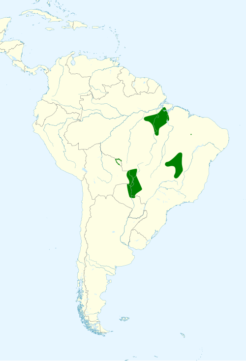 By Cephas - Adapted from: BirdLife International. 2016. Anodorhynchus hyacinthinus. The IUCN Red List of Threatened Species 2016: e.T22685516A93077457. https://dx.doi.org/10.2305/IUCN.UK.2016-3.RLTS.T22685516A93077457.en. Accessed on 27 January 2022., CC BY-SA 4.0, https://commons.wikimedia.org/w/index.php?curid=114723598
